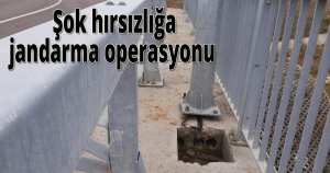  Kuzey Marmara Otoyolu'ndaki şok hırsızlığa jandarma operasyonu