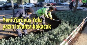  Yeni Yürüyüş Yolu yazın lavanta kokacak