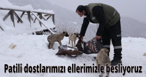 Patili dostlarımızı ellerimizle besliyoruz