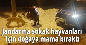 Jandarma sokak hayvanları için doğaya mama bıraktı