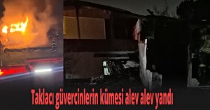 Taklacı güvercinlerin kümesi alev alev yandı
