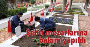 Şehit mezarlarına bakım yapıldı 