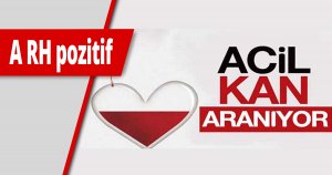 KAN ARANIYOR