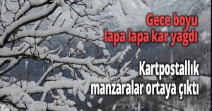 Kocaeli’nin üst kesimlerinde gece boyu lapa lapa kar yağdı