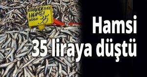 Hamsi 35 liraya düştü