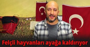 Felçli hayvanları ayağa kaldırıyor