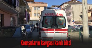 Komşuların kavgası kanlı bitti