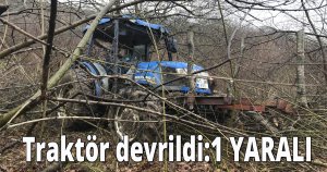 Odun yüklü traktör ağaçlık alana devrildi