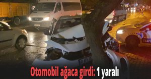 İş makinesini sollamaya çalışan otomobil ağaca girdi
