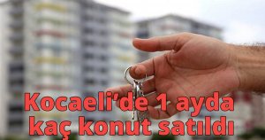Kocaeli'de 1 ayda kaç konut satıldı?