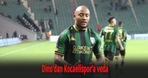 Dino’dan Kocaelispor’a veda