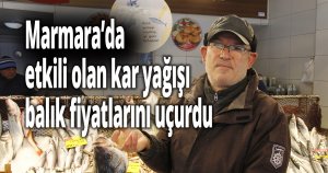 Marmara’da etkili olan kar yağışı balık fiyatlarını uçurdu