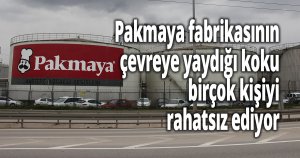 Şehri saran maya kokusuna ilginç yorumlar