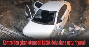 Kontrolden çıkan otomobil kütük dolu alana uçtu 