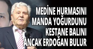 MANDA YOĞURDU SARAYDA BULUNUR