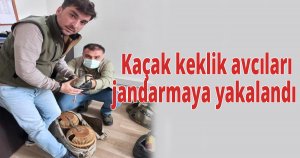Kaçak keklik avcıları jandarmaya yakalandı