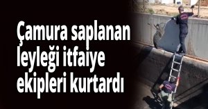 Çamura saplanan leyleği itfaiye ekipleri kurtardı