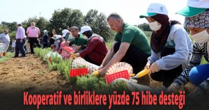 Kooperatif ve birliklere yüzde 75 hibe desteği