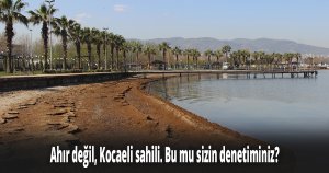 360 ton hayvan pisliği çıkarıldı. Bu mu sizin denetiminiz?