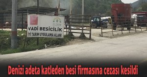 Denizi adeta katleden besi firmasına cezası kesildi
