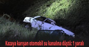 Kazaya karışan otomobil su kanalına düştü