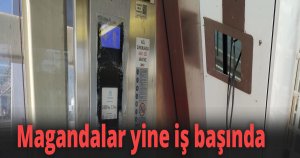Magandalar yine iş başında