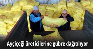 Ayçiçeği üreticilerine gübre dağıtılıyor
