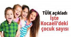 TÜİK açıkladı, İşte Kocaeli'deki çocuk sayısı