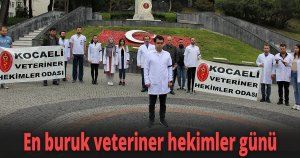 En buruk veteriner hekimler günü