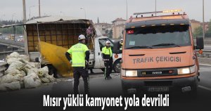 Mısır yüklü kamyonet yola devrildi