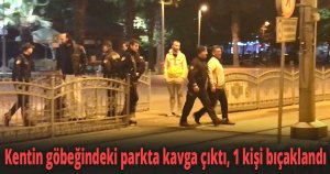 Kentin göbeğindeki parkta kavga çıktı, 1 kişi bıçaklandı