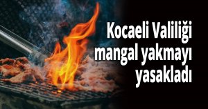 Kocaeli’de tüm ormanlık alanlarda mangal yakmak yasaklandı!