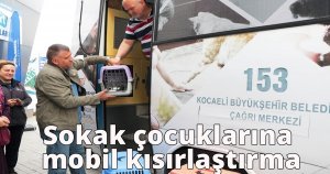 Sokak çocuklarına mobil kısırlaştırma