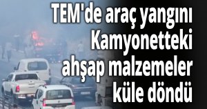 TEM'de araç yangını