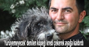 ''Yürüyemeyecek'' denilen köpeği kredi çekerek ayağa kaldırdı
