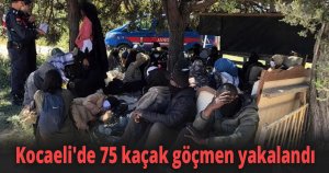 Kocaeli'de 75 kaçak göçmen yakalandı