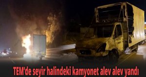 TEM’de seyir halindeki kamyonet alev alev yandı