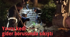 Yavru kedi gider borusunda sıkıştı, ekipler seferber oldu