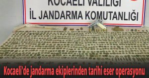 Kocaeli'de jandarma ekiplerinden tarihi eser operasyonu