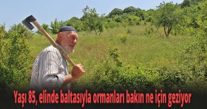 Yaşı 85, elinde baltasıyla ormanları bakın ne için geziyor