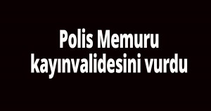 Tartıştığı kayınvalidesini vurdu