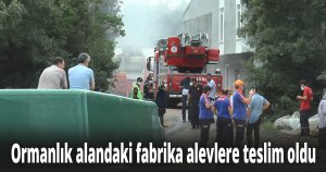Ormanlık alandaki fabrika alevlere teslim oldu