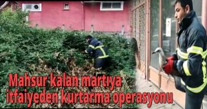  Mahsur kalan martıya itfaiyeden kurtarma operasyonu