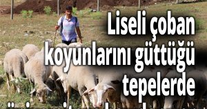 Elinde değneği, sırtında okul çantası, önünde koyunları