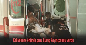 Kahvehane önünde pusu kurup kayınçosunu vurdu