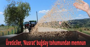 Üreticiler, ''Nusrat'' buğday tohumundan memnun