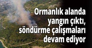 Kocaeli'de ormanlık alanda yangın çıktı