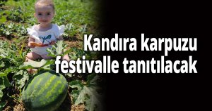 Kandıra karpuzu festivalle tanıtılacak