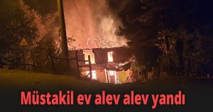 Müstakil ev alev alev yandı