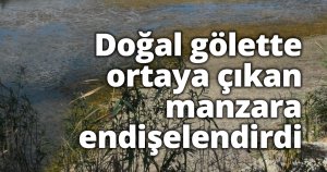 Doğal gölette ortaya çıkan manzara endişelendirdi